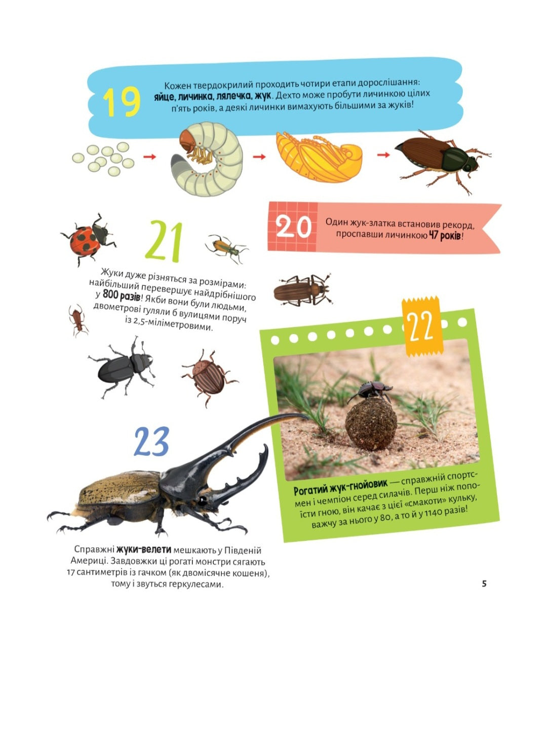 Енциклопедія з наліпками. Комахи. 100 цікавих фактів
Ольга Пилипенко