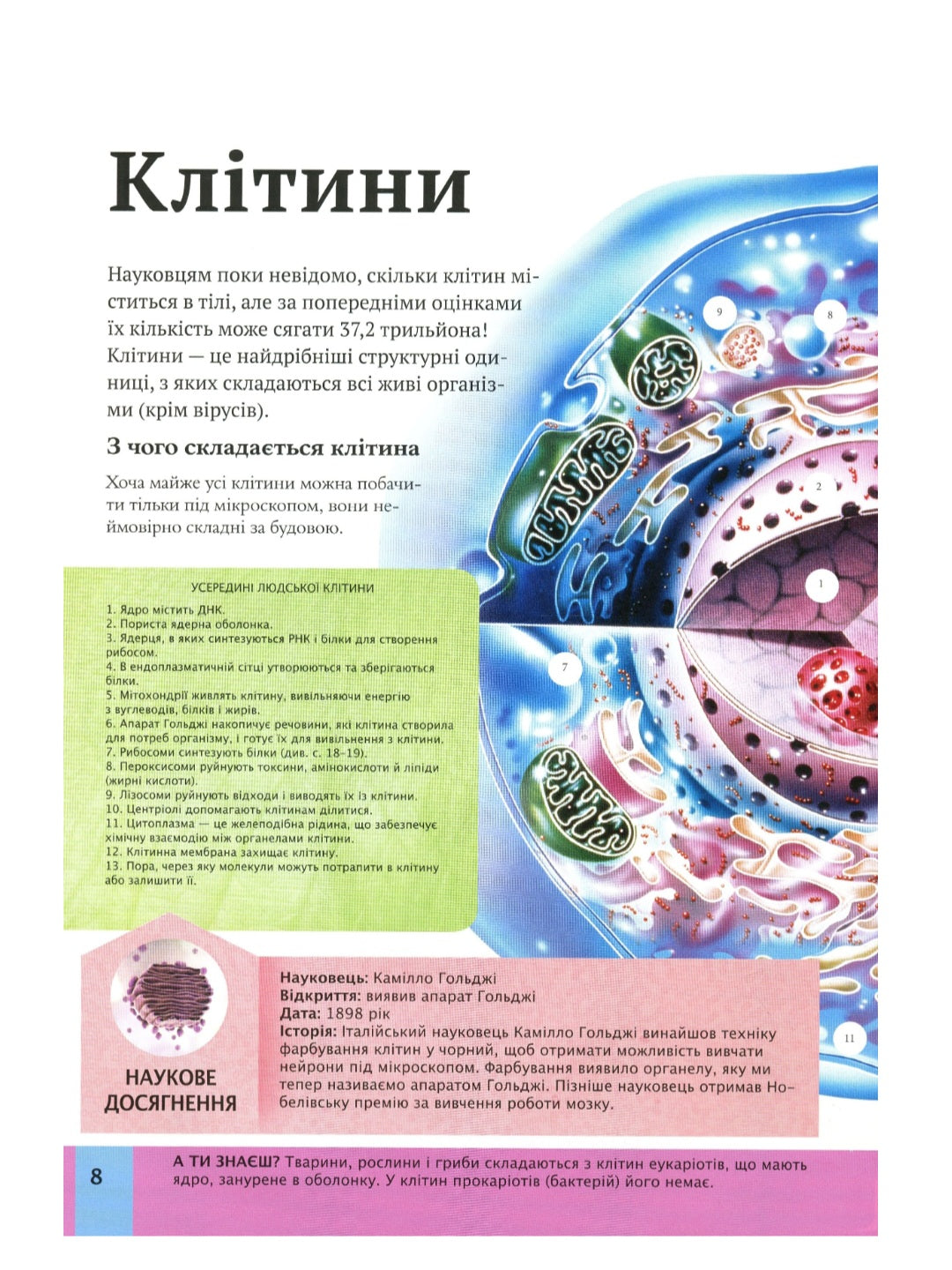 Дитяча енциклопедія тіла людини.
Клер Гібберт