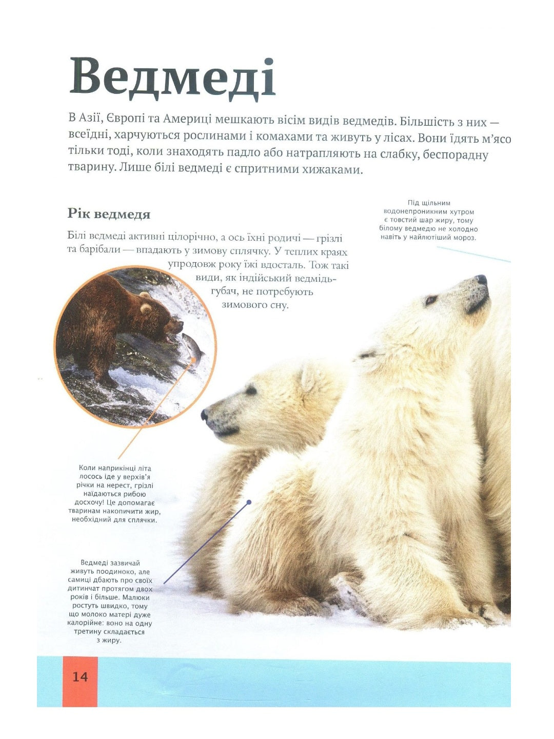 Дитяча енциклопедія тварин.
Майкл Ліч, Меріел Лленд