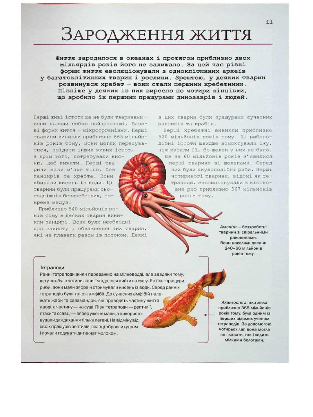 Велика книга динозаврів. Енциклопедія.
Клаудія Мартин