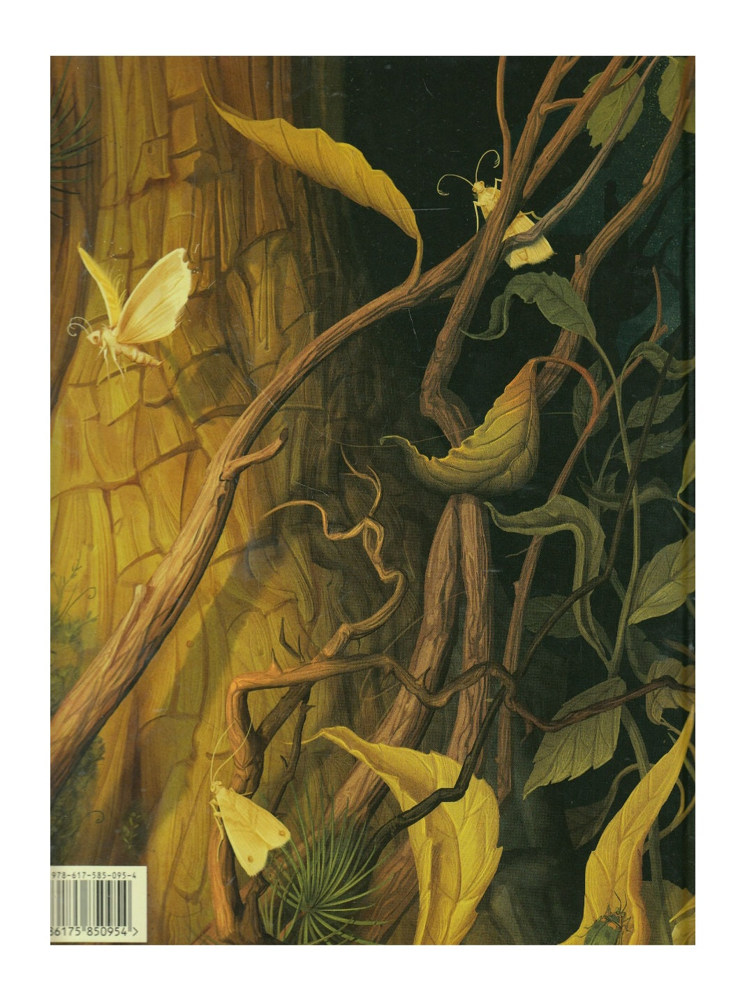 Шустрик.
Марьяна Князевич