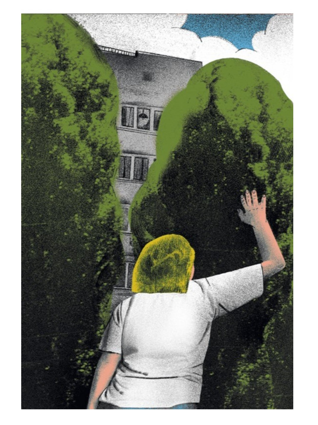 Котик, Півник, Шафка.
Олександр Михед