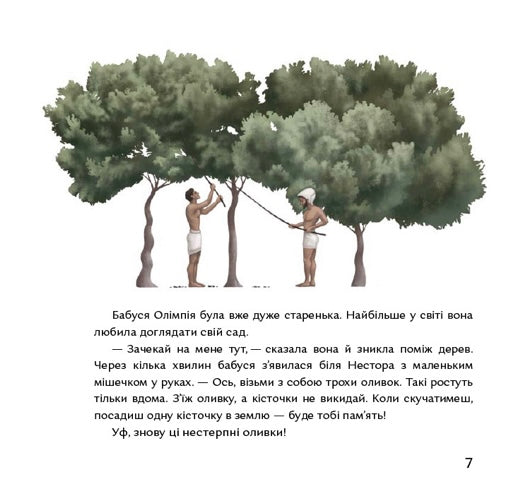 Кісточка оливи. Ольга Купріян