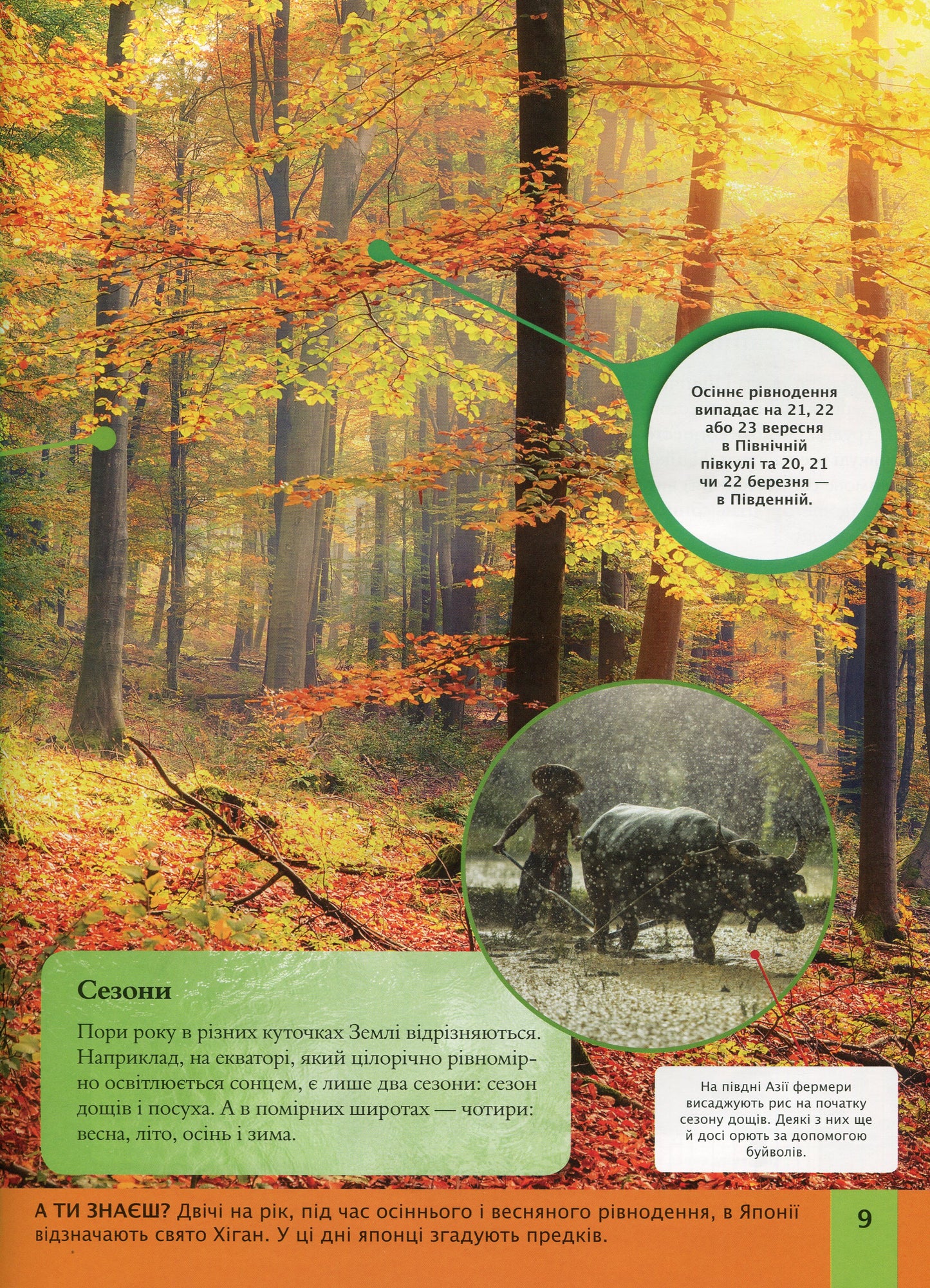 Дитяча енциклопедія планети Земля. Клер Хібберт, Гонор Гед