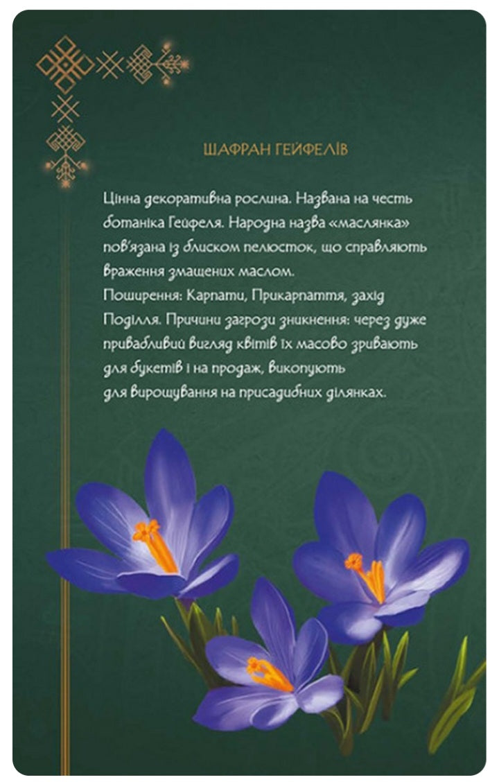 Щоденник Мавки. Лісова