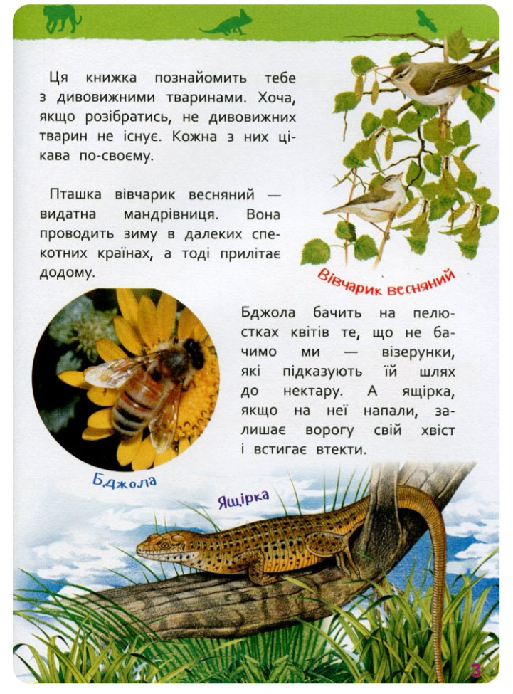 Дивовижні тварини. Моя перша енциклопедія.