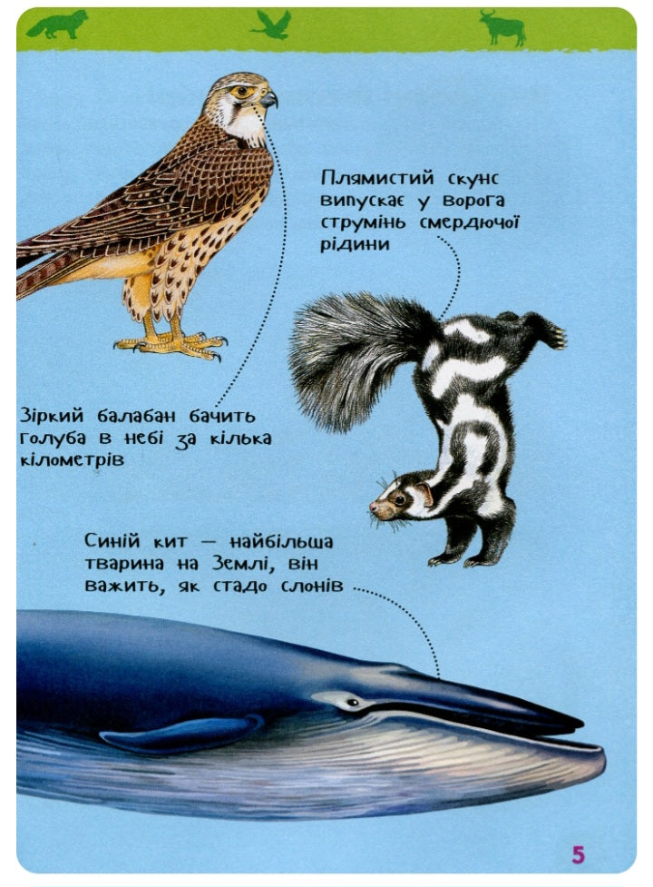 Дивовижні тварини. Моя перша енциклопедія.