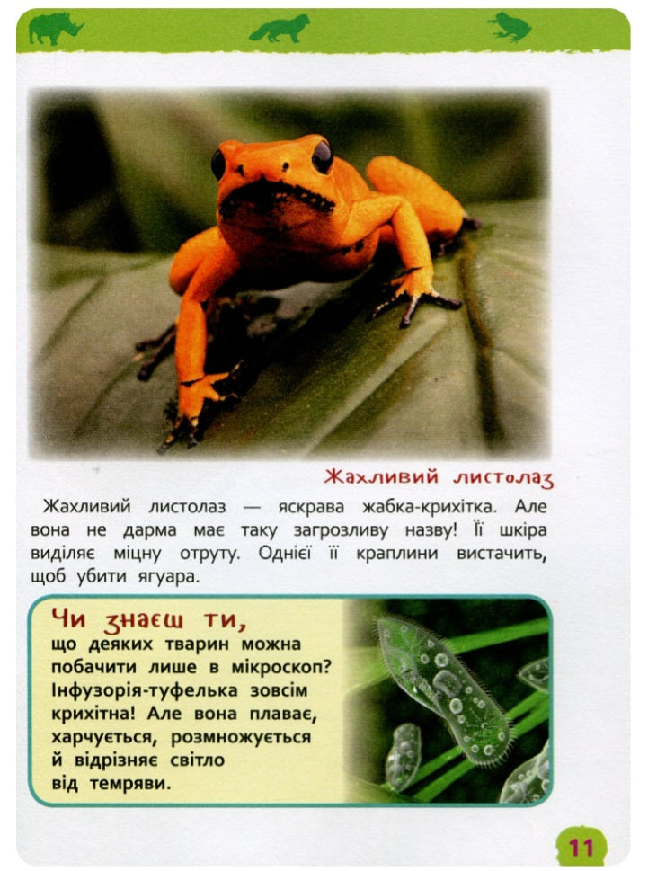Дивовижні тварини. Моя перша енциклопедія.