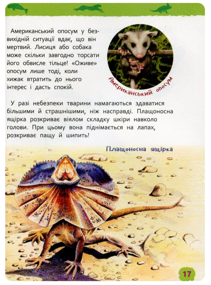 Дивовижні тварини. Моя перша енциклопедія.