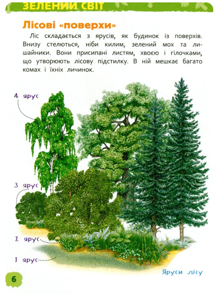 У лісі. Моя перша енциклопедія.
Лариса Клюшник