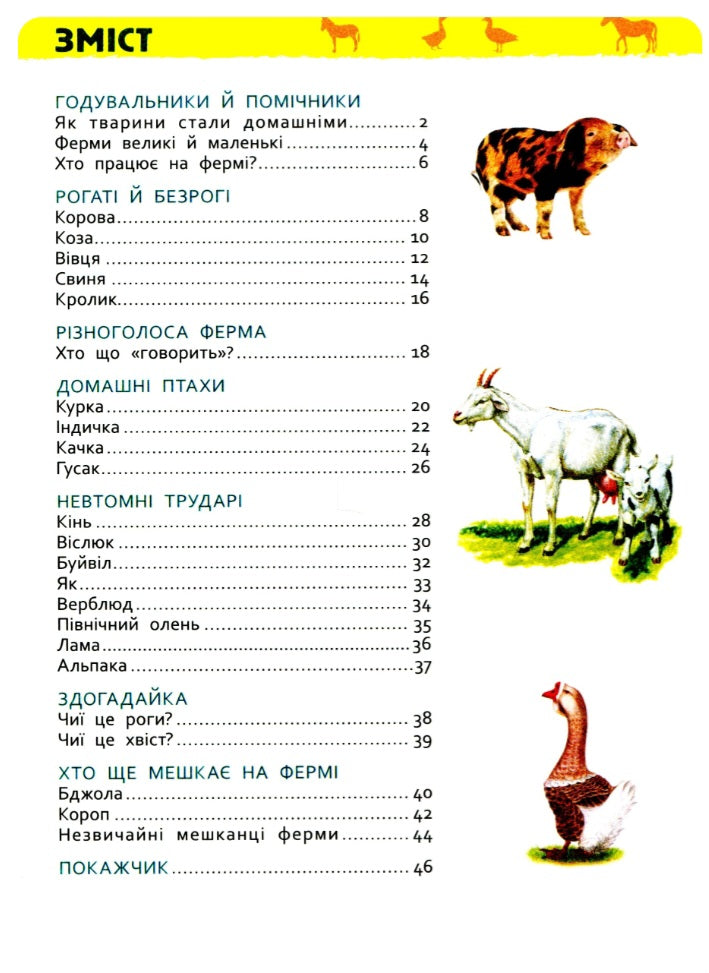Тварини ферми. Моя перша енциклопедія.
Ірина Травіна