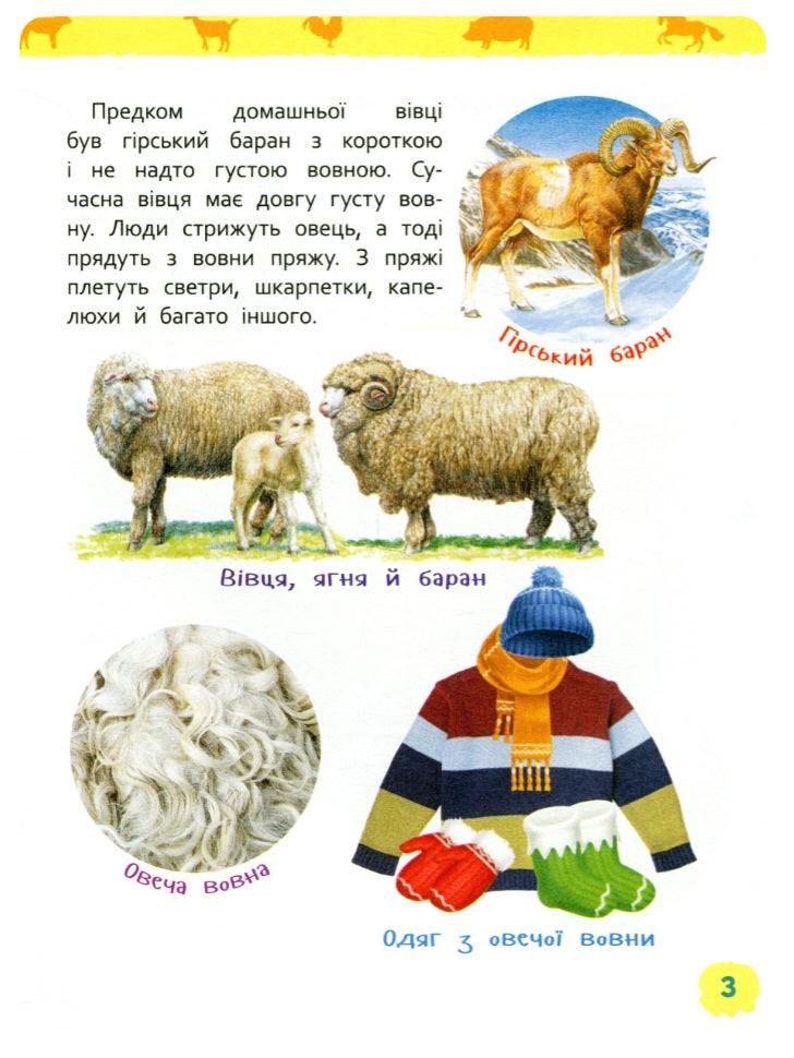 Тварини ферми. Моя перша енциклопедія.
Ірина Травіна