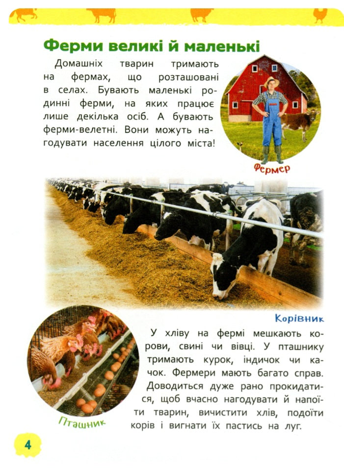 Тварини ферми. Моя перша енциклопедія.
Ірина Травіна