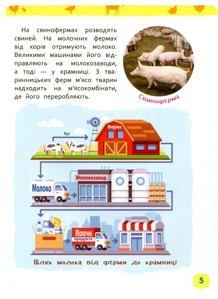 Тварини ферми. Моя перша енциклопедія.
Ірина Травіна