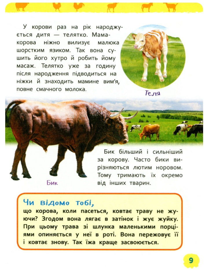 Тварини ферми. Моя перша енциклопедія.
Ірина Травіна