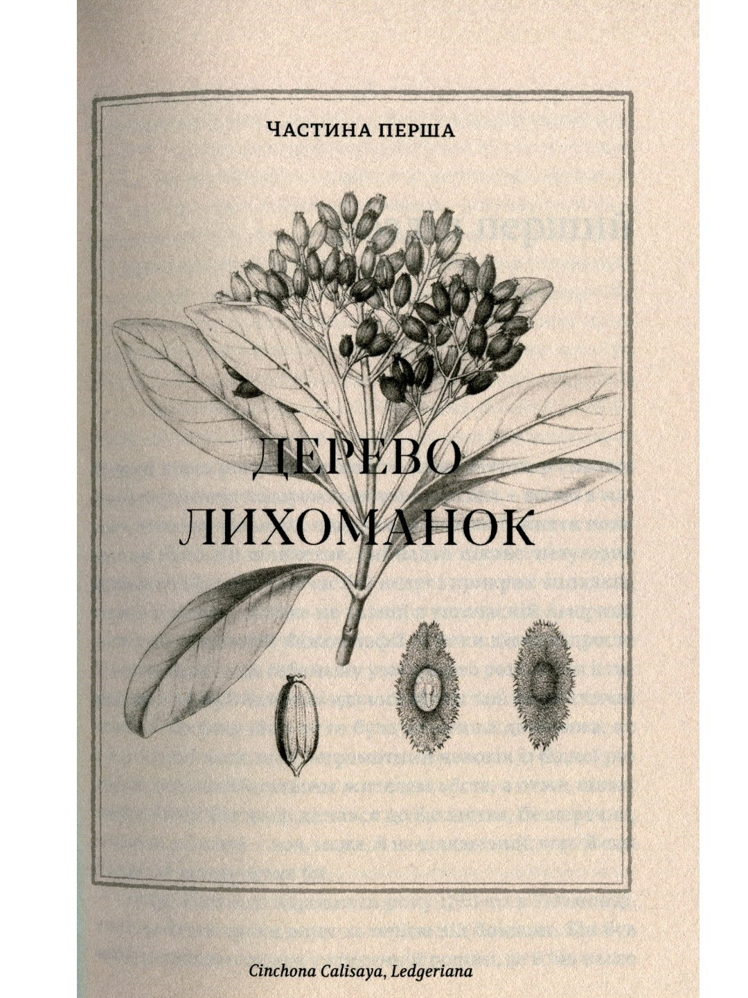 Природа всіх речей.
Елізабет Ґілберт