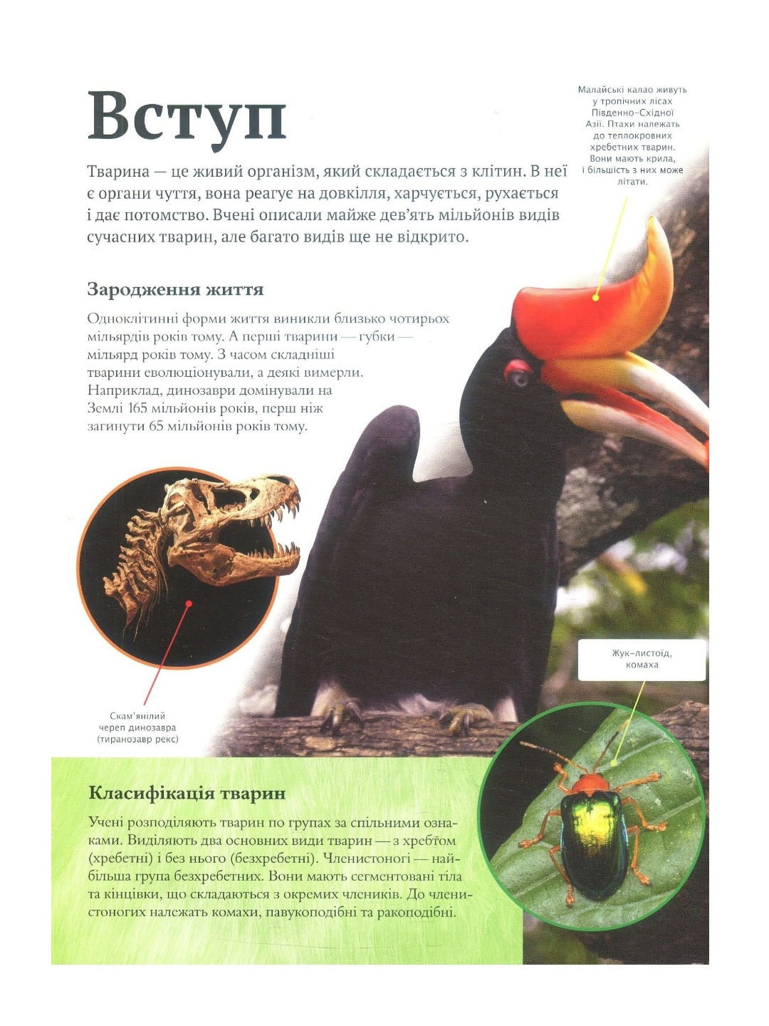 Дитяча енциклопедія тварин.
Майкл Ліч, Меріел Лленд