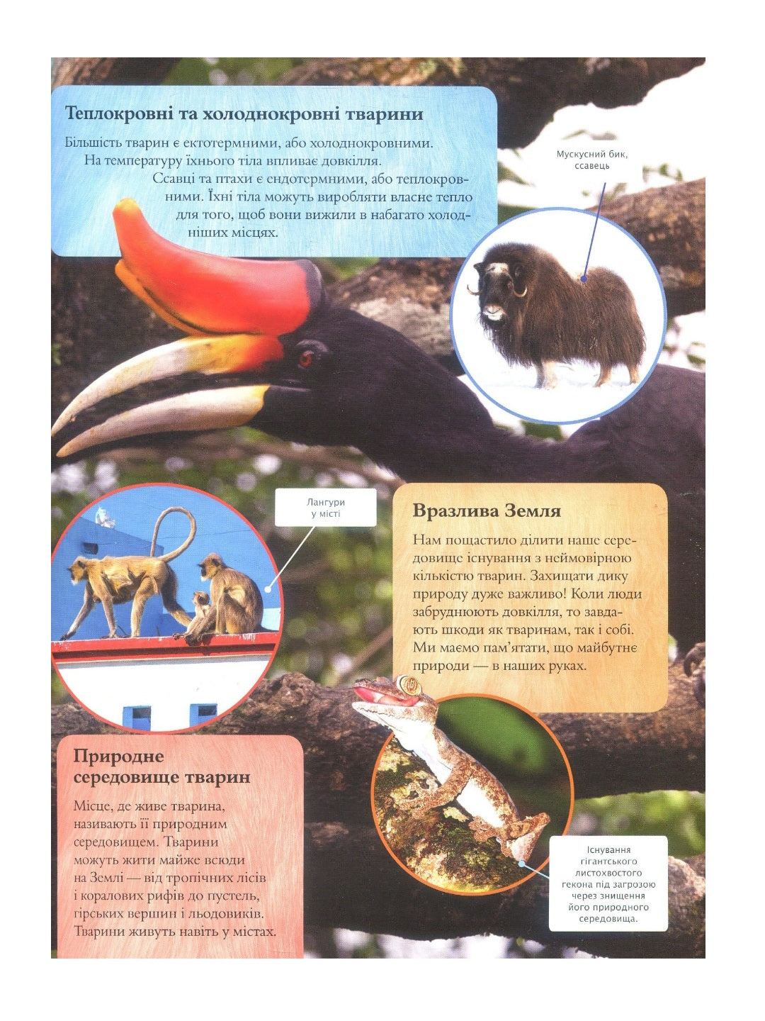 Дитяча енциклопедія тварин.
Майкл Ліч, Меріел Лленд