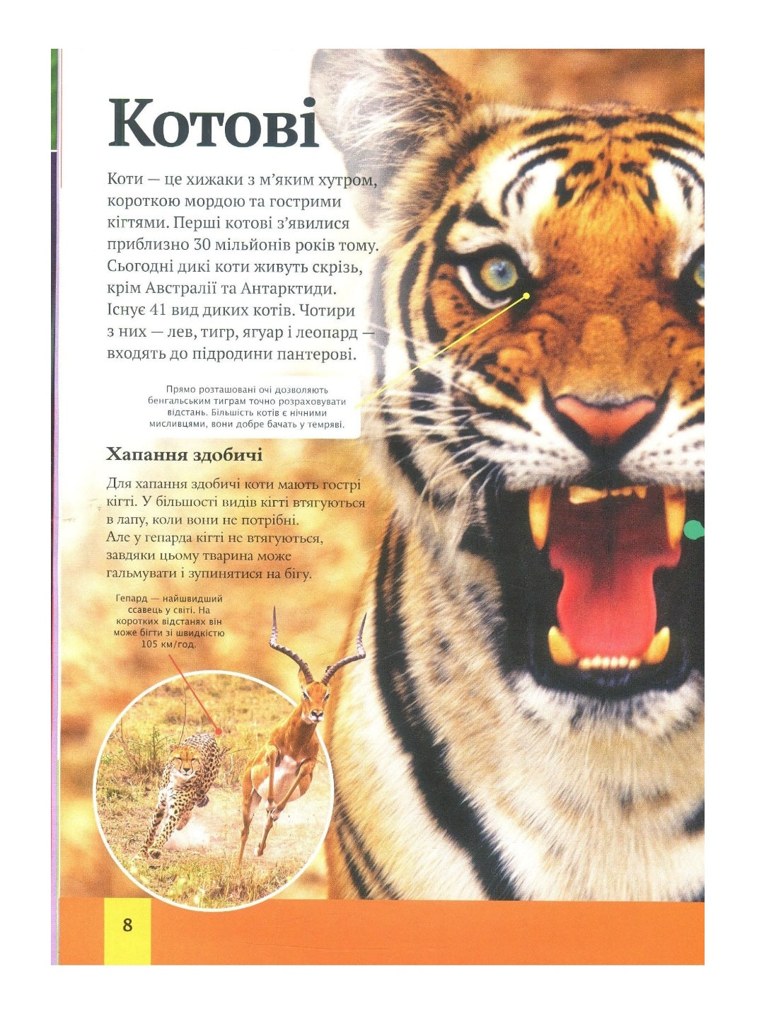 Дитяча енциклопедія тварин.
Майкл Ліч, Меріел Лленд