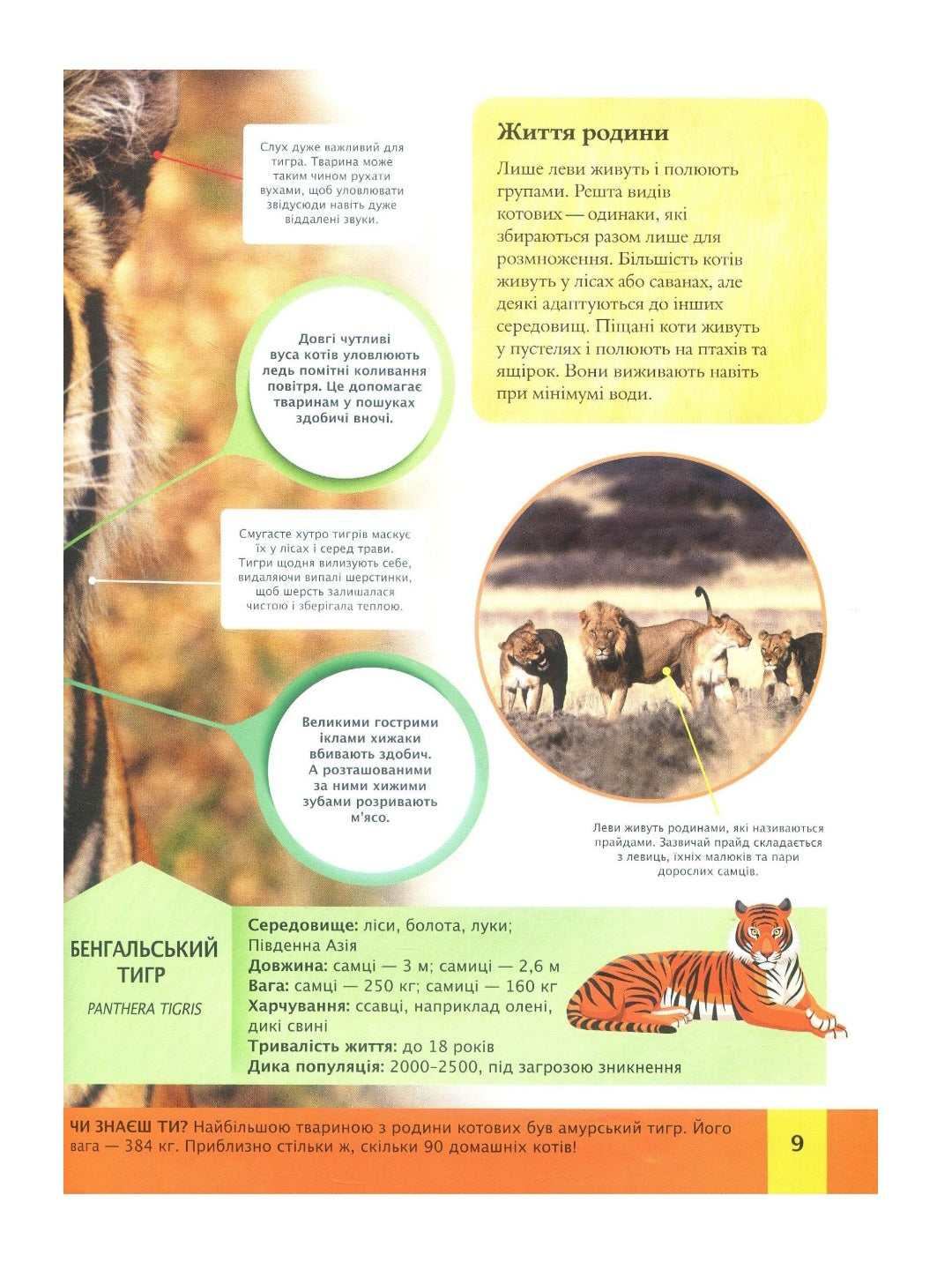 Дитяча енциклопедія тварин.
Майкл Ліч, Меріел Лленд