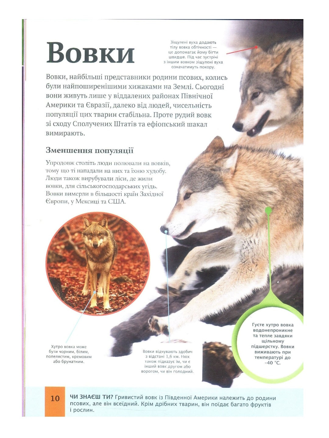 Дитяча енциклопедія тварин.
Майкл Ліч, Меріел Лленд