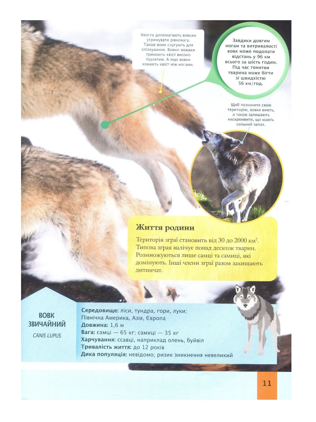 Дитяча енциклопедія тварин.
Майкл Ліч, Меріел Лленд