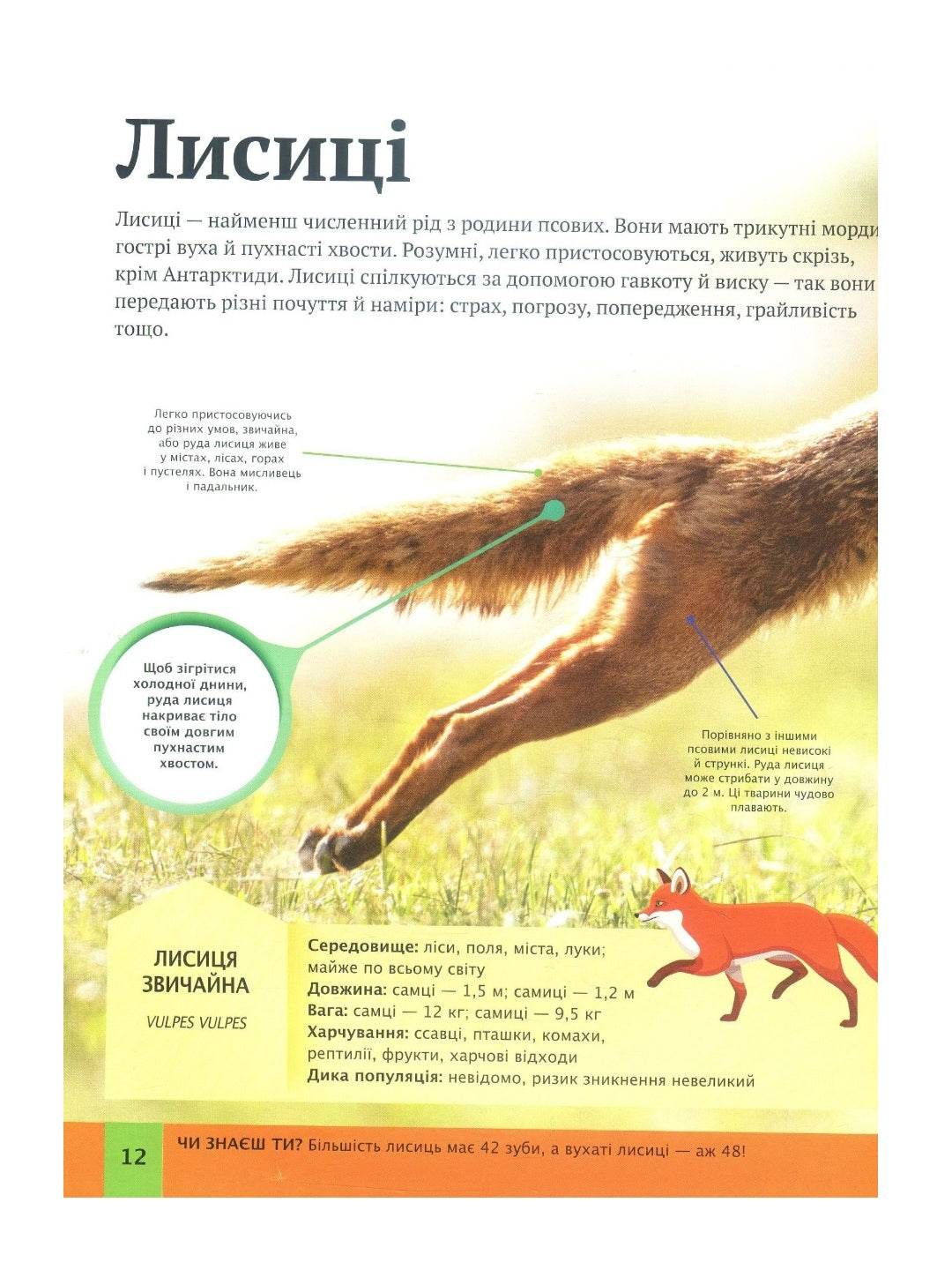 Дитяча енциклопедія тварин.
Майкл Ліч, Меріел Лленд