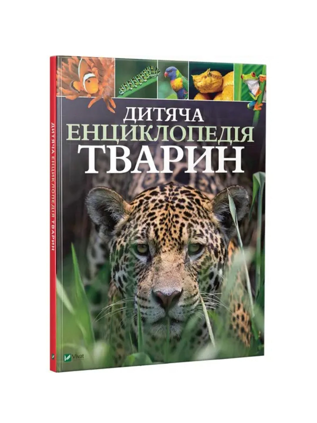Дитяча енциклопедія тварин.
Майкл Ліч, Меріел Лленд