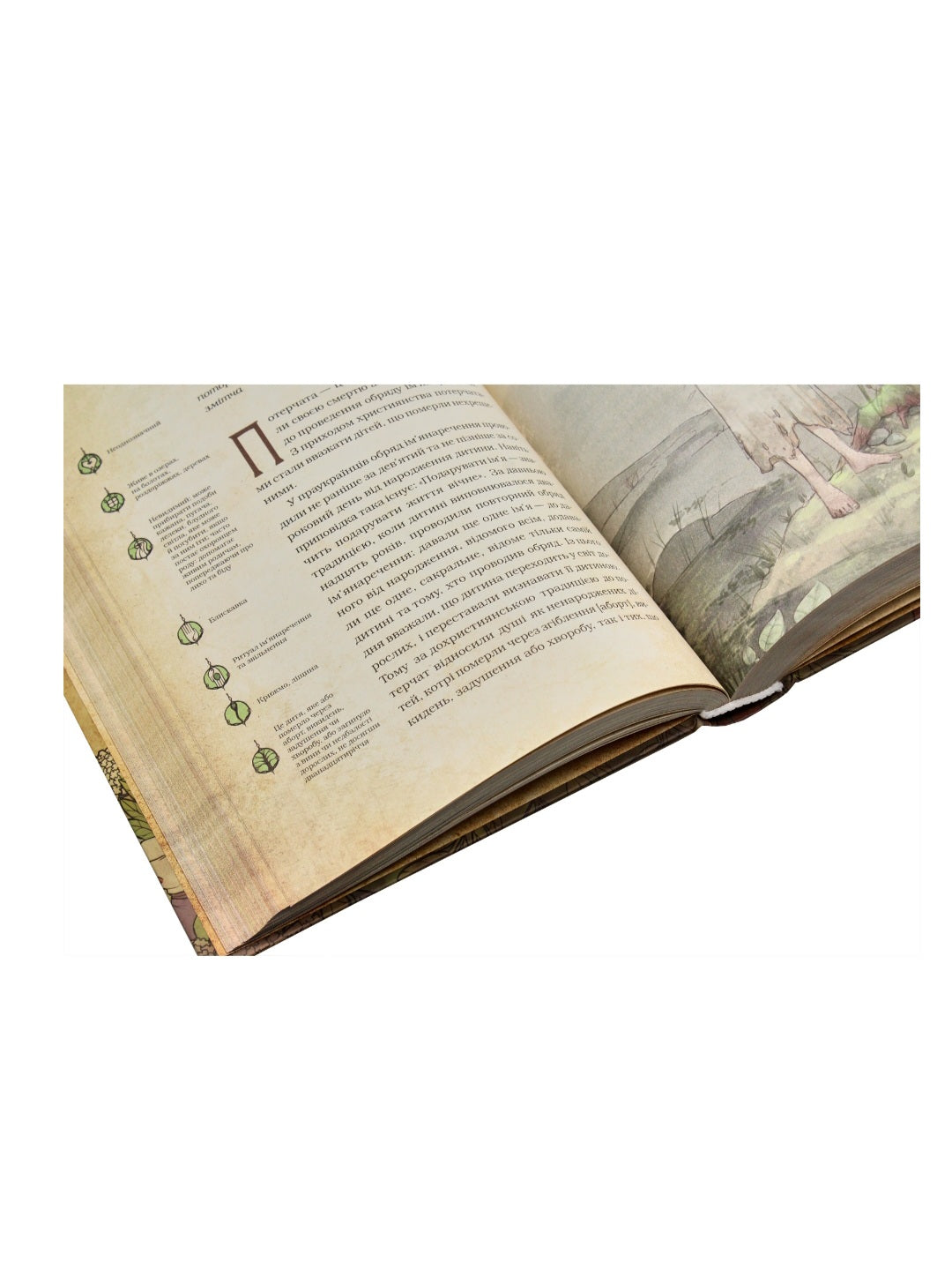 Чарівні істоти українського міфу. Духи природи.
Дара Корній