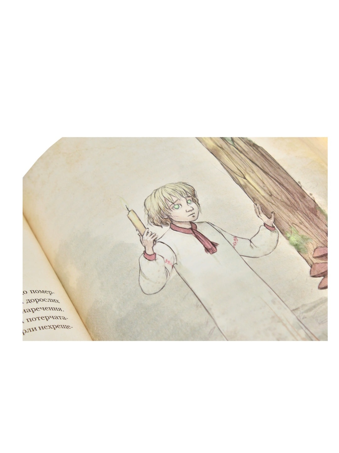 Чарівні істоти українського міфу. Духи природи.
Дара Корній