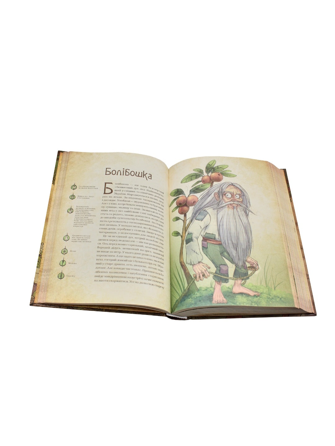 Чарівні істоти українського міфу. Духи природи.
Дара Корній