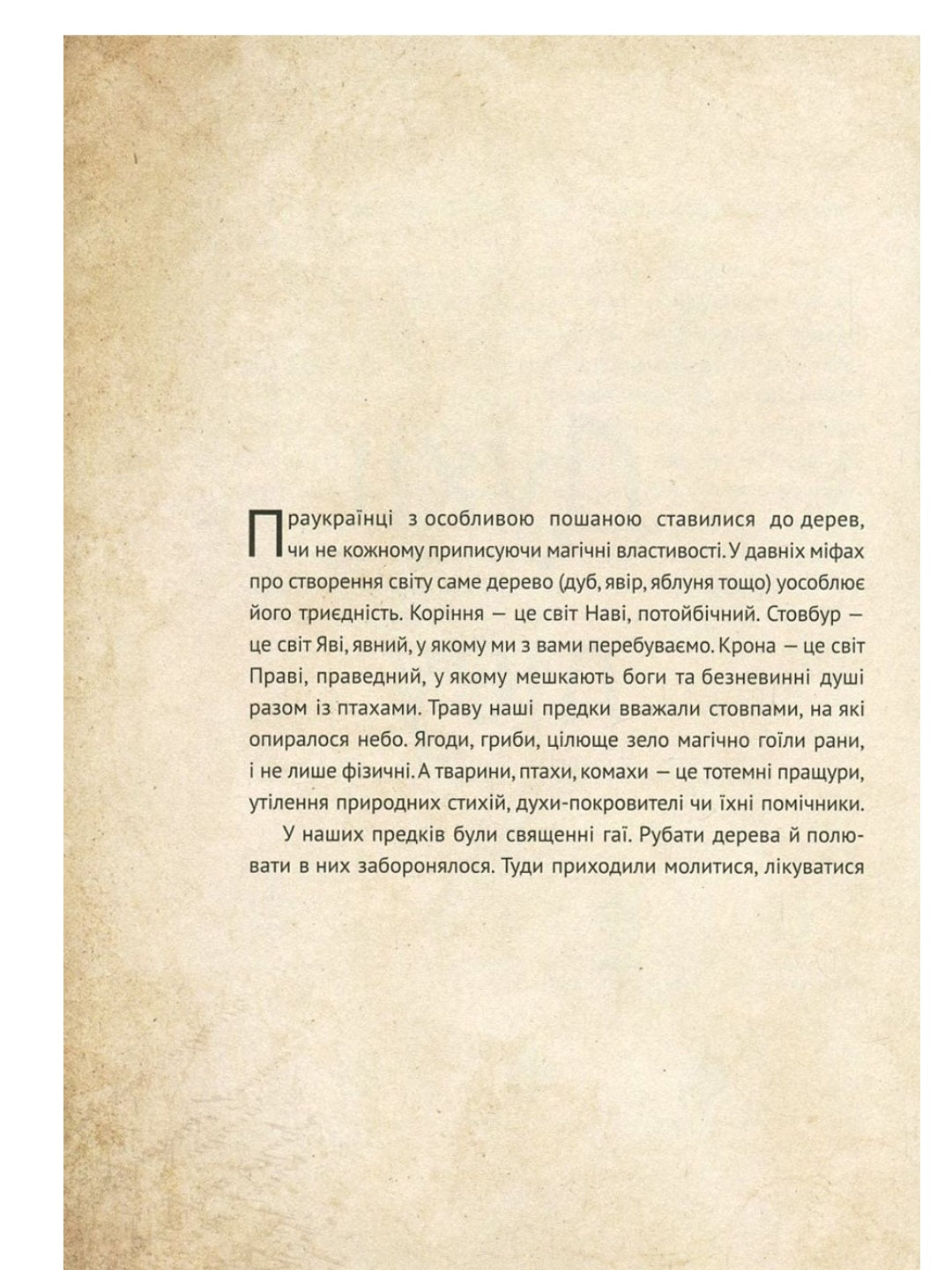 Чарівні істоти українського міфу. Духи природи.
Дара Корній