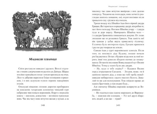 Джури. Джури козака Швайки. Володимир Рутківський