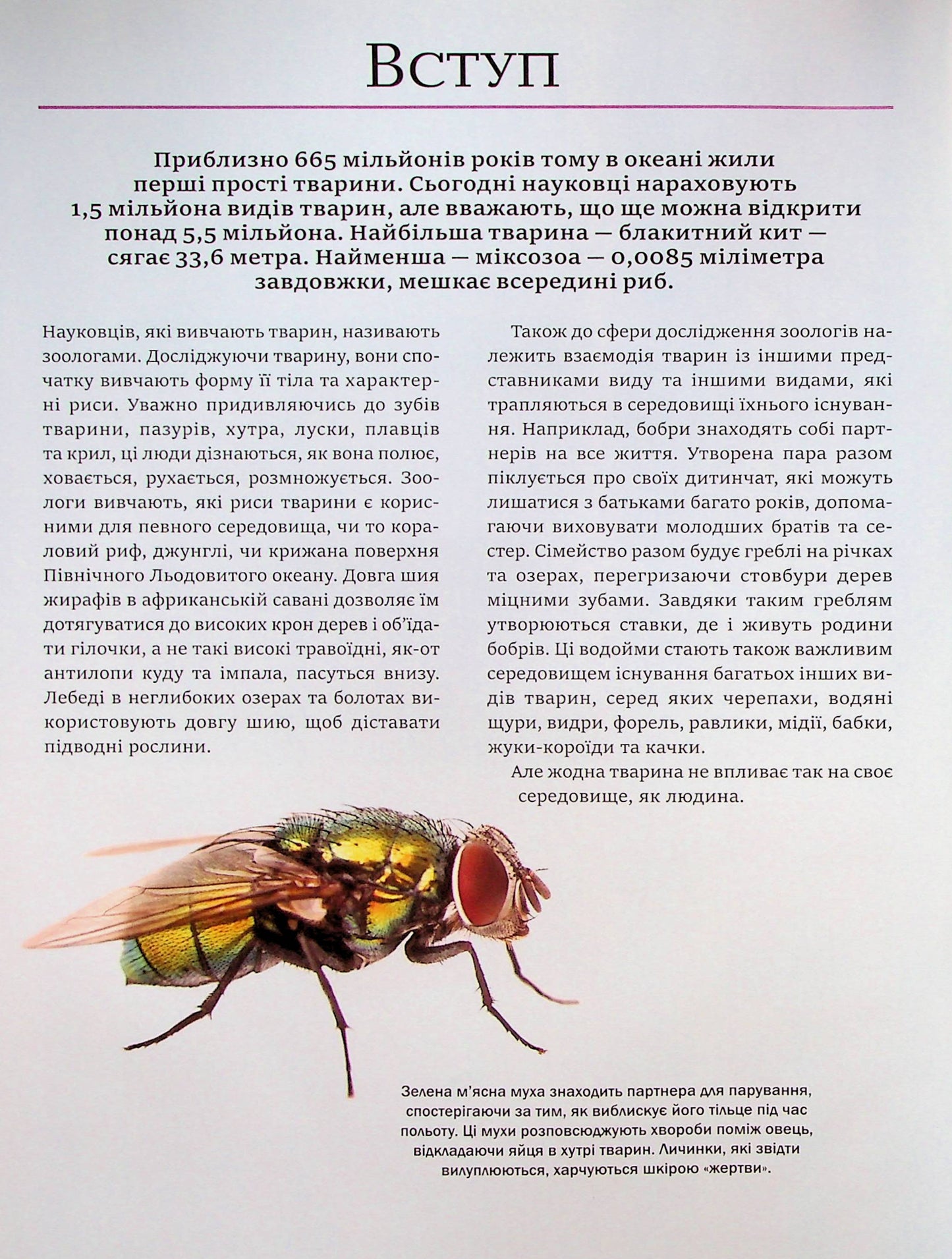 Велика книга тварин. Клаудія Мартин