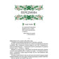 Різдвяна класика. Микола Гоголь, Олена Пчілка, Панас Мирний, Михайло Косач, Леся Українка, Михайло Коцюбинський, Василь Стефаник, Осип Маковей, Михайло Грушевський