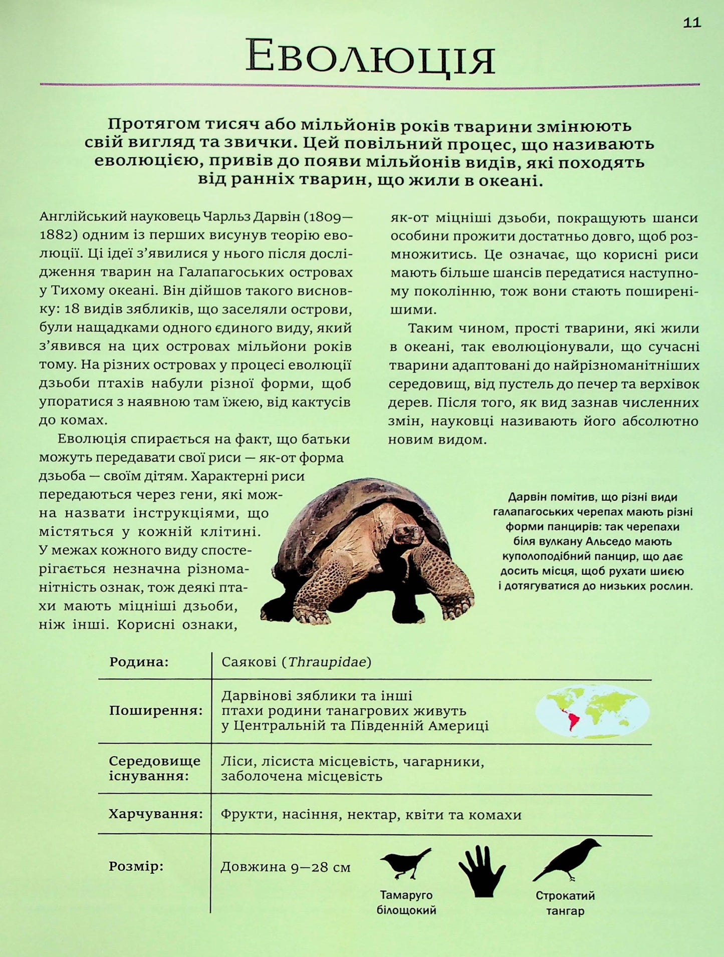 Велика книга тварин. Клаудія Мартин