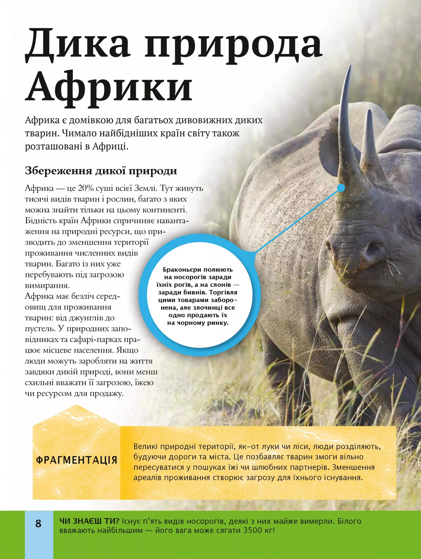 Дитяча енциклопедія довкілля. Хелен Дуайєр, Алекс Вулф, Рейчел Тільсдейл