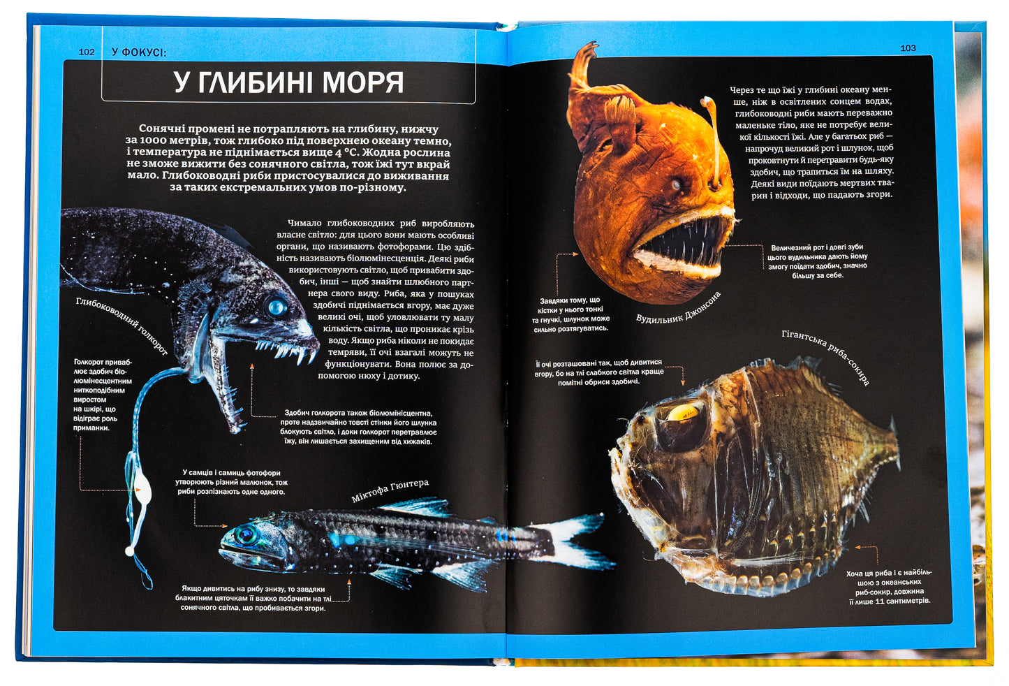 Велика книга тварин. Клаудія Мартин