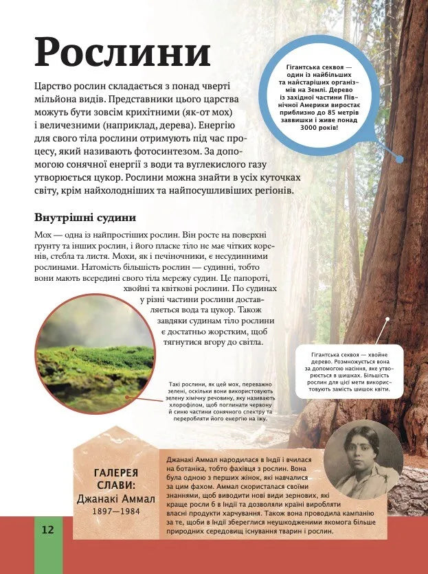 Дитяча енциклопедія біології. Том Джексон