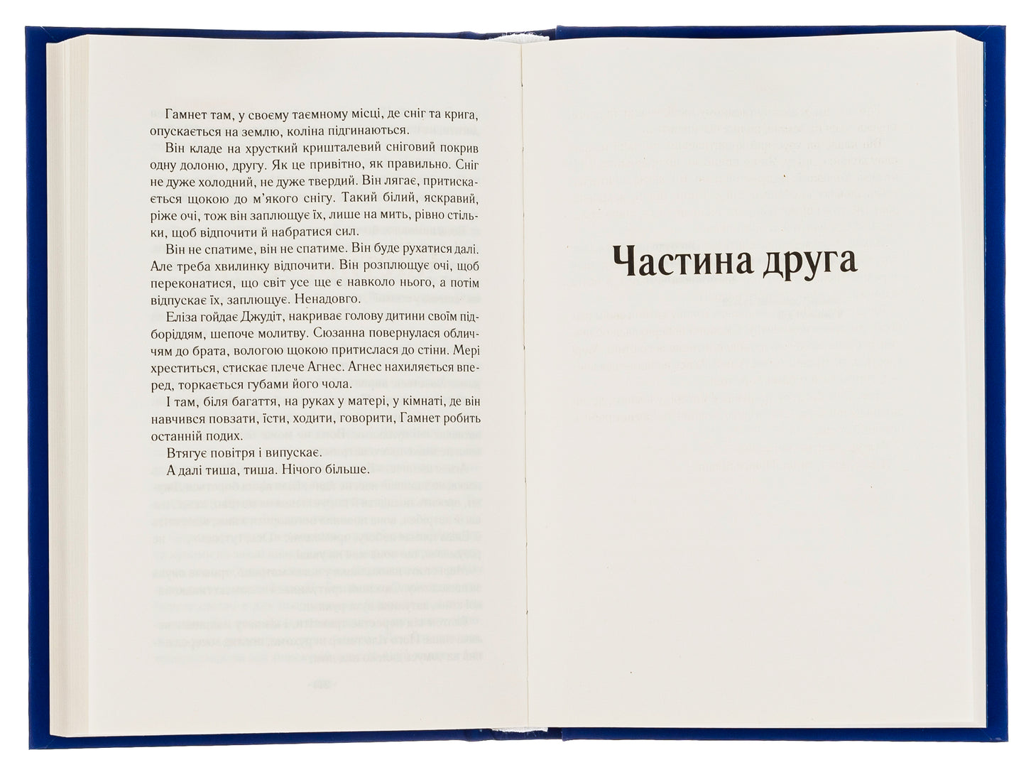 Гамнет. Меггі О'Фаррелл