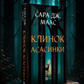 Клинок асасинки. Сара Дж. Маас