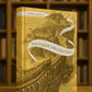 Крізь дзеркала. Книга 2. Викрадені з Місяцесяйва
Крістель Дабос