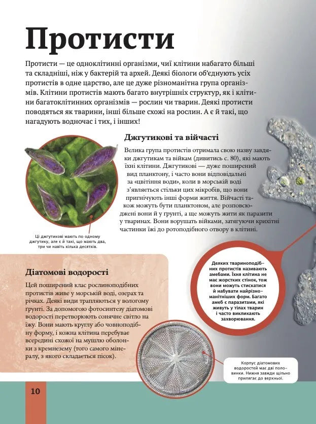 Дитяча енциклопедія біології. Том Джексон