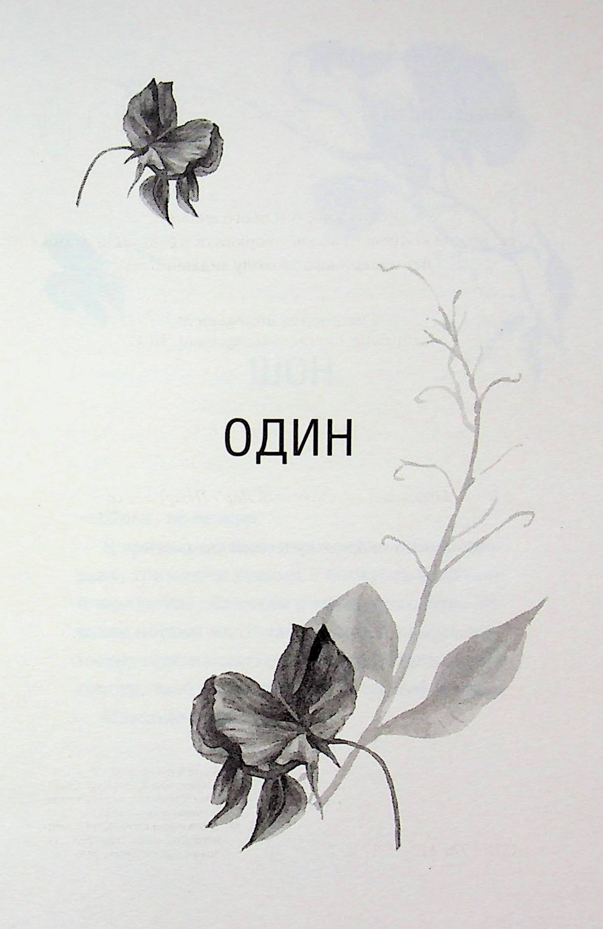 Глорія. Книга 2.5 Сьєрра Сімоне