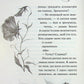 Глорія. Книга 2.5 Сьєрра Сімоне