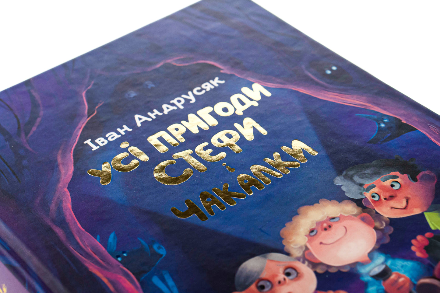 Усі пригоди Стефи і Чакалки. Iван Андрусяк