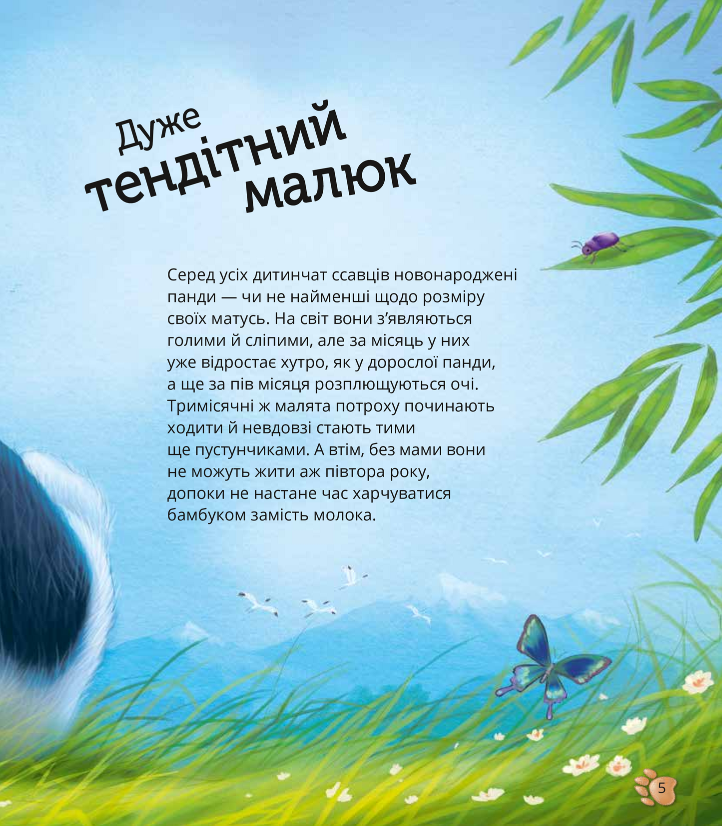 Наймиліші малюки тварин. Алехандро Альґара