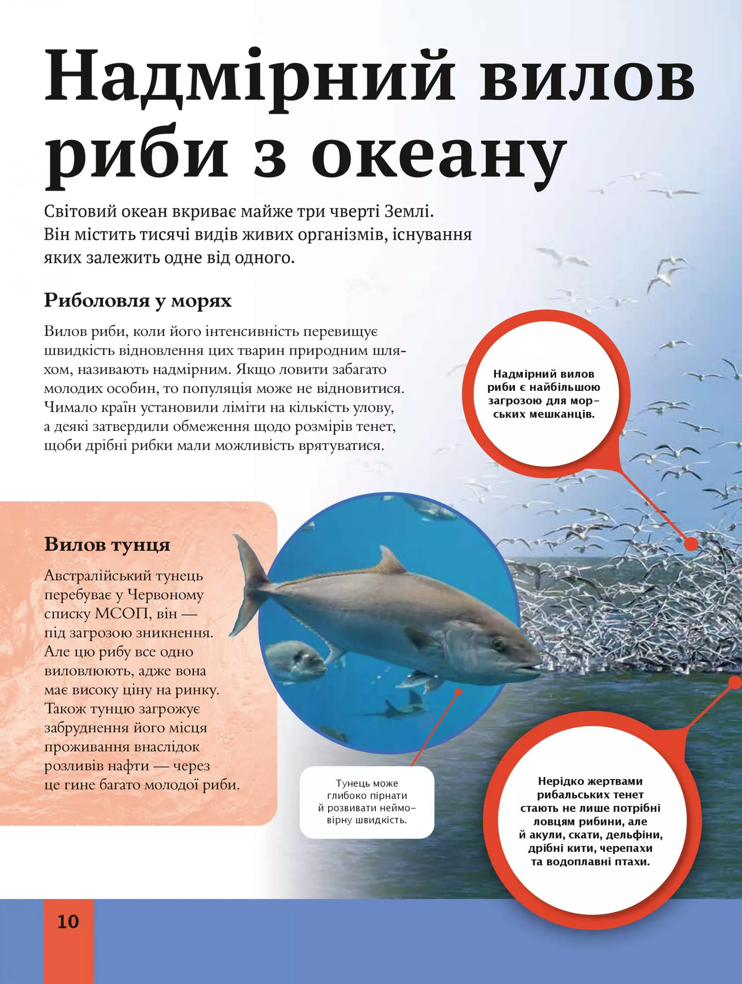 Дитяча енциклопедія довкілля. Хелен Дуайєр, Алекс Вулф, Рейчел Тільсдейл