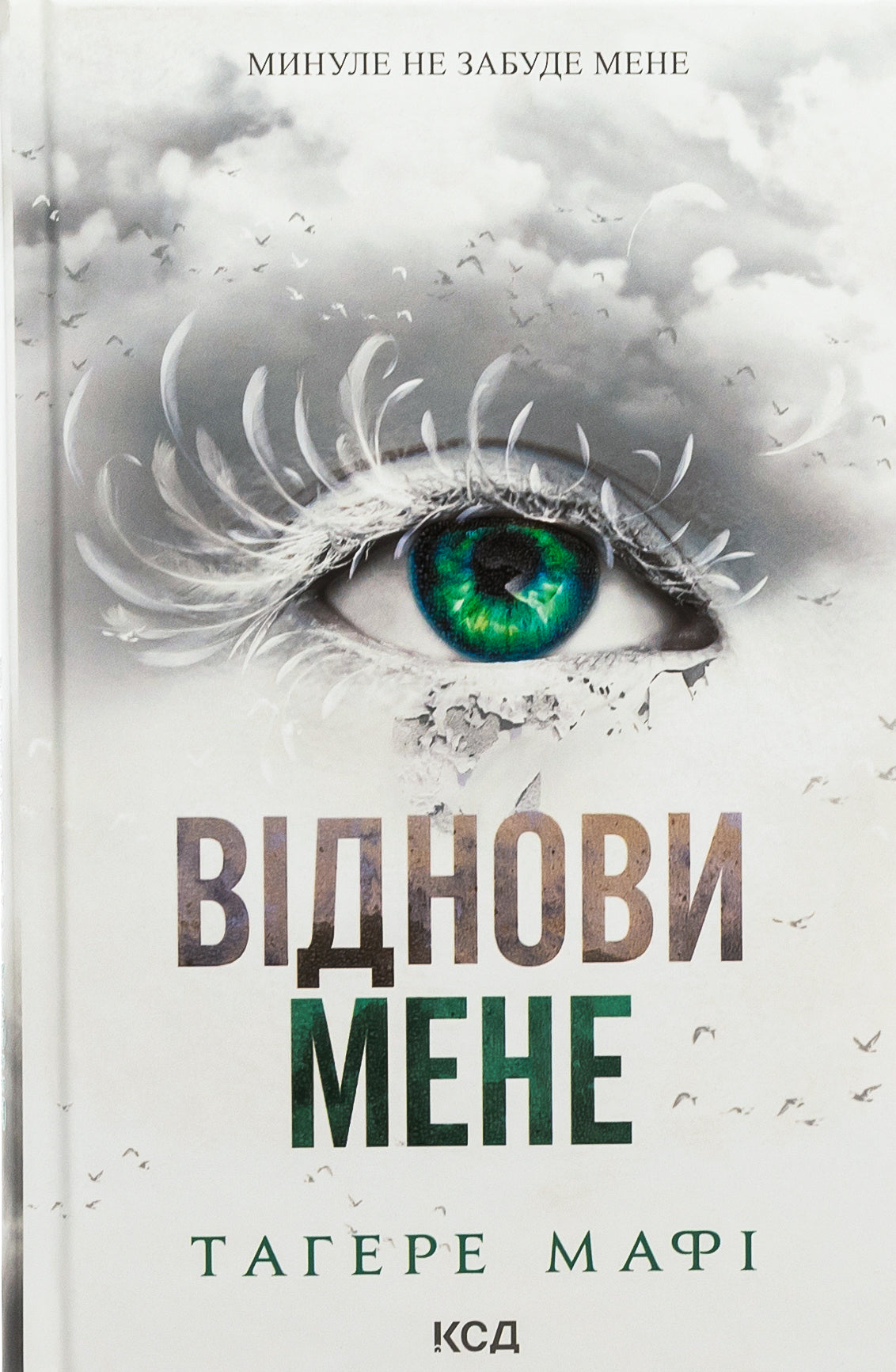 Віднови мене. Книга 4. Таґере Мафі