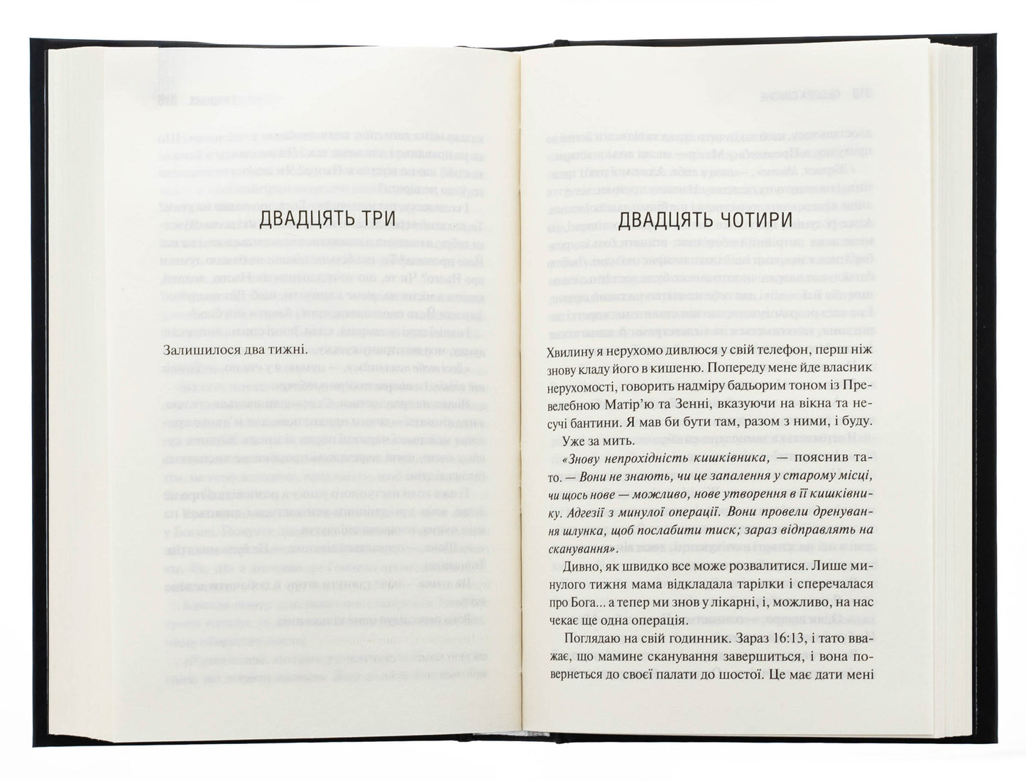 Грішник. Книга 2. Сьєрра Сімоне